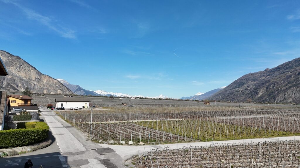 Berg- und Weinlandschaft mit Straße