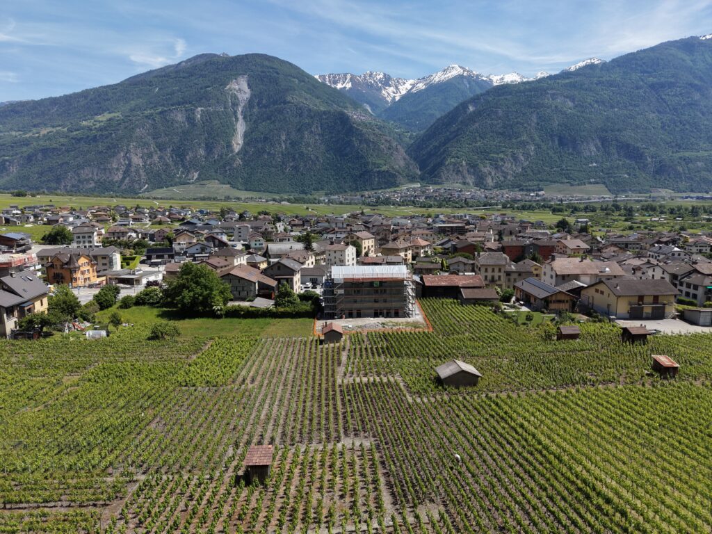 Luftaufnahme eines alpinen Tals mit Weinbergen
