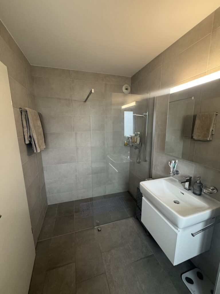 Modernes Badezimmer mit begehbarer Dusche